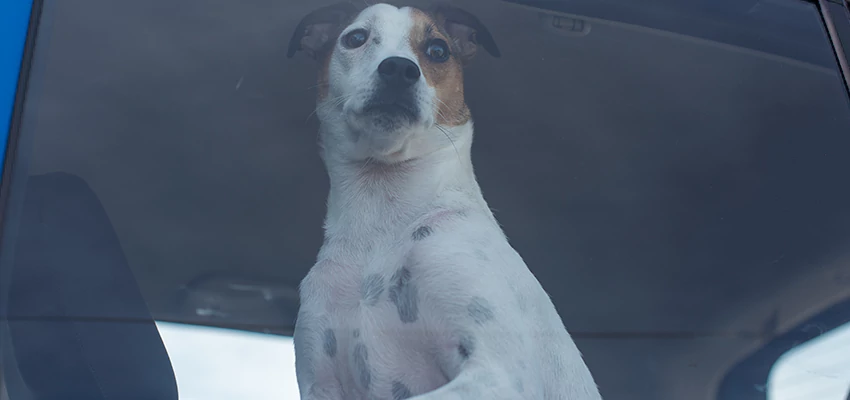 Car Lockout Solutions in Chula Vista, California